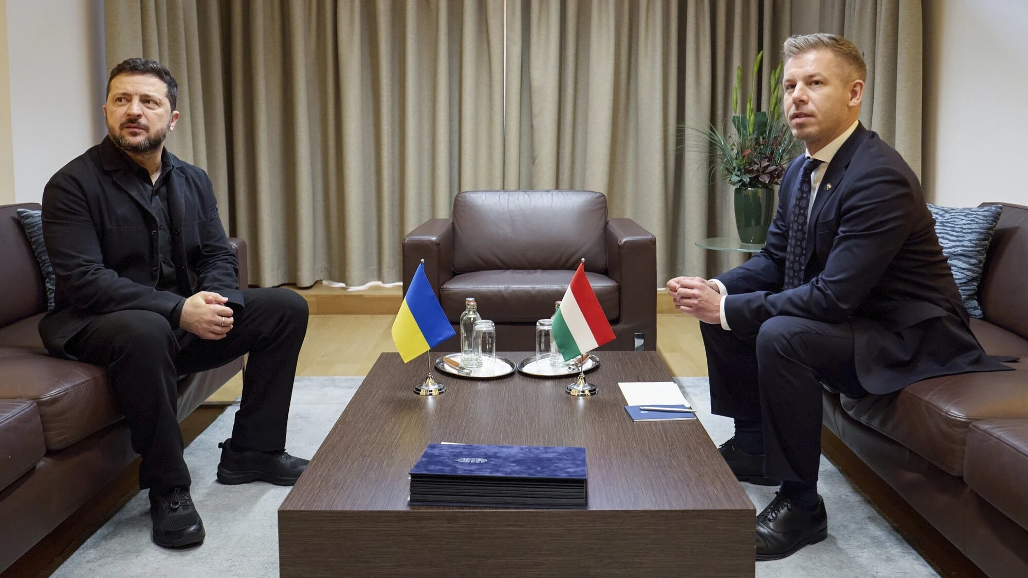 Володимир Зеленський та Петер Мадяр під час зустрічі